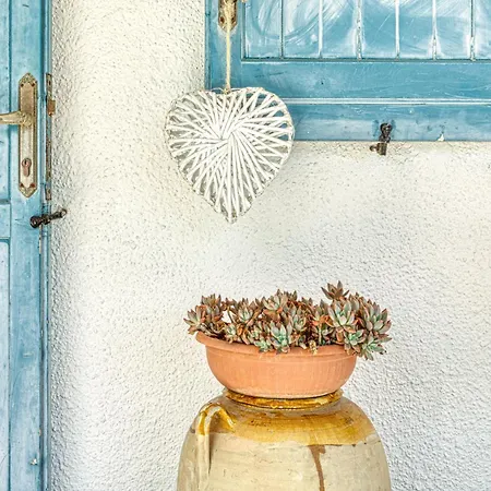 Tulipano Holiday home