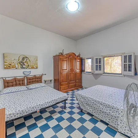 Tulipano * Торре-Пали